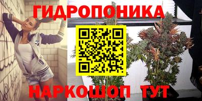 тгк Рязань