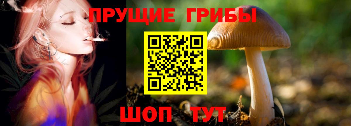 Реж  Галлюциногенные грибы GOLDEN TEACHER  Галлюциногенные грибы Magic Shrooms  Вход с VPN 